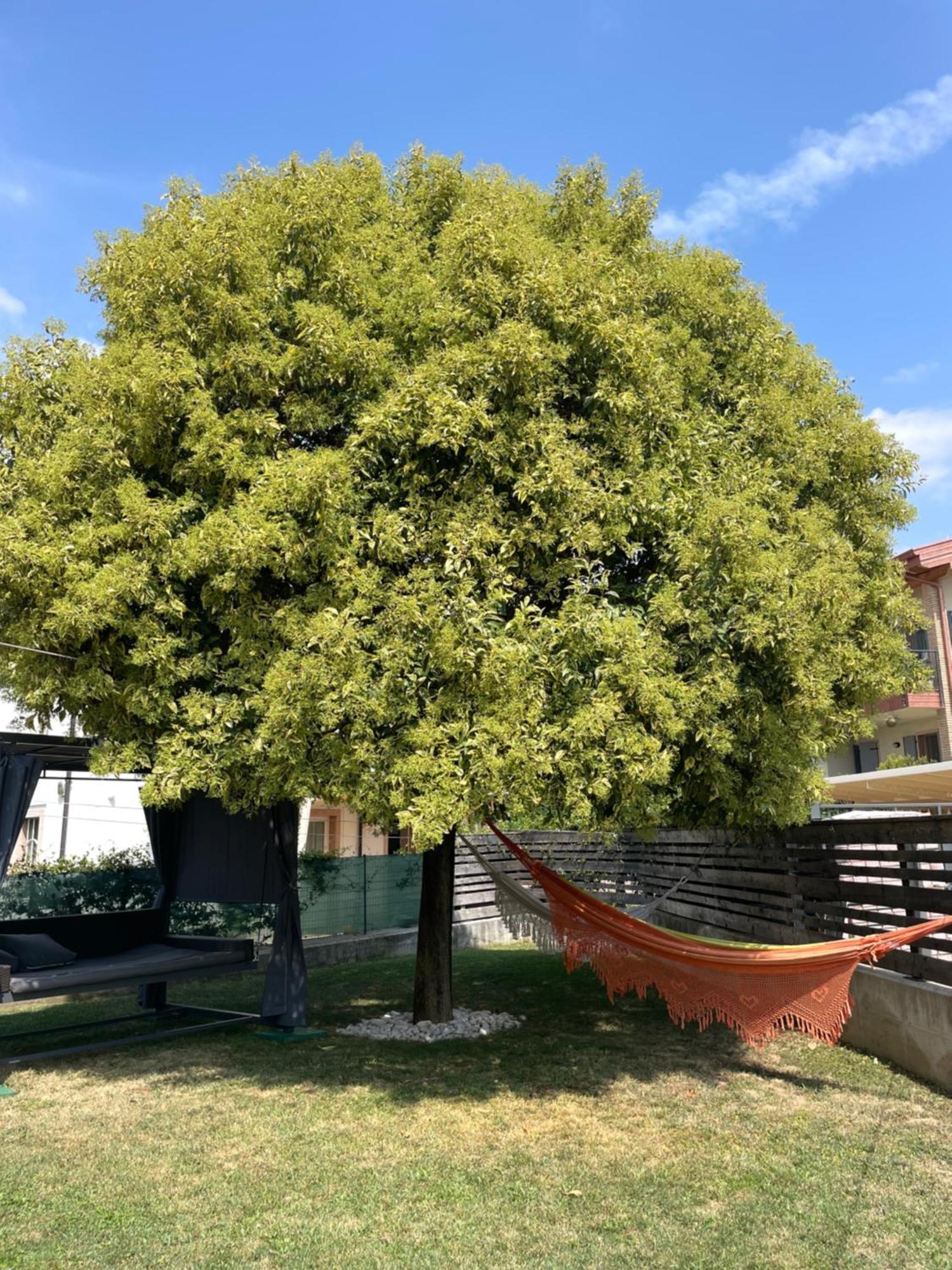 Ferienwohnung Casa Degli Artisti Caprino Veronese Exterior foto